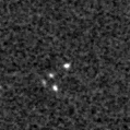 2020xqx_image
