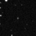 2020xsn_image