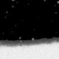 2020xtx_image