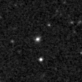 2020xun_image