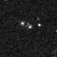 2020xxl_image