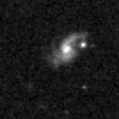 2020xzg_image