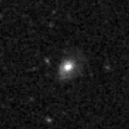 2020xzj_image