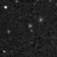 2020ydn_image