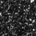2020yeq_image