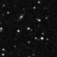 2020ygc_image
