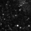 2020ygt_image