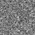 2020ylt_image