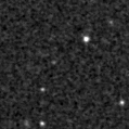 2020ypm_image