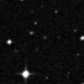 2020ypn_image