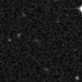 2020yqj_image