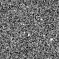 2020ysh_image