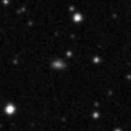 2020ysn_image