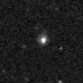 2020ywg_image