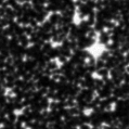 2020zab_image