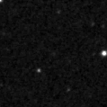 2020zam_image