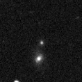 2020zgf_image