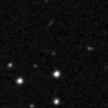 2020zlm_image