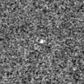 2020zlq_image
