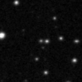 2020zm_image