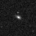 2020zms_image