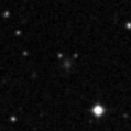 2020zsl_image