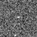 2020zsw_image