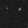 2020zwx_image