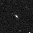 2021aaar_image