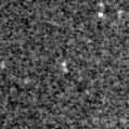 2021aabn_image