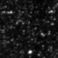 2021aadm_image