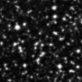 2021aado_image