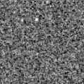 2021aadt_image