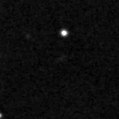 2021aaep_image
