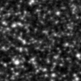 2021aafo_image
