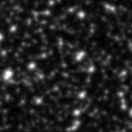 2021aaja_image