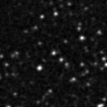 2021aajm_image