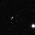 2021aalc_image