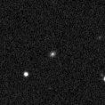 2021aanm_image