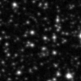 2021aant_image