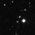 2021aanw_image