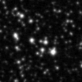 2021aapc_image