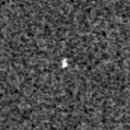 2021aar_image
