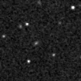 2021aarl_image