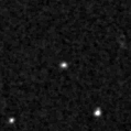 2021aaum_image