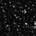 2021aavs_image