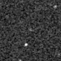 2021aawb_image