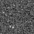 2021abjs_image