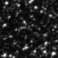 2021abvj_image