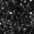 2021abvt_image